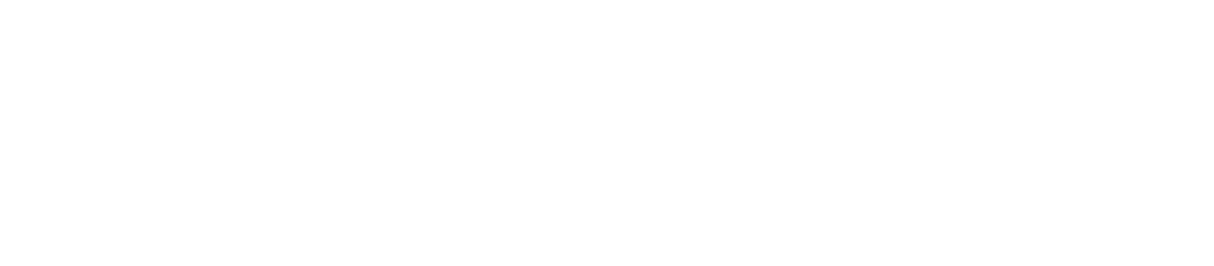 NetReal+